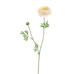 RANUNCULUS 65CM CREAM