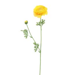 RANUNCULUS 65CM YELLOW