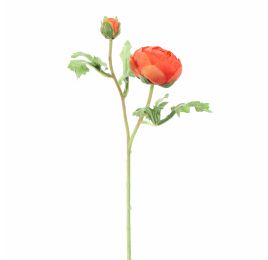 RANUNCULUS X2 56CM RED