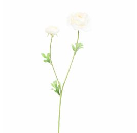 RANUNCULUS X 2 64CM CREAM