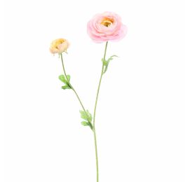 RANUNCULUS X 2 64CM PINK
