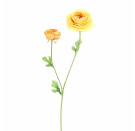 RANUNCULUS X 2 64CM YELLOW
