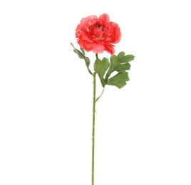 OPEN RANUNCULUS 45CM BEAUTY