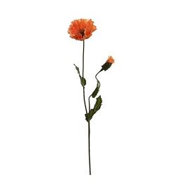 POPPY SPRAY X 2 72CM ORANGE