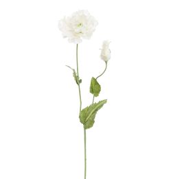POPPY 75CM CREAM
