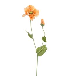 POPPY 75CM PEACH
