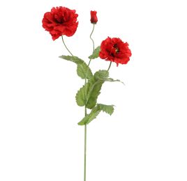 LARGE POPPY 110CM RED