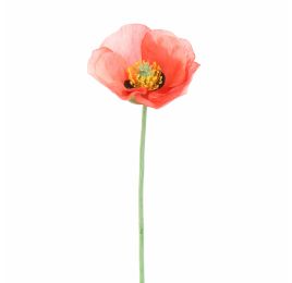 SINGLE POPPY 37CM CORAL