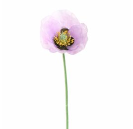 SINGLE POPPY 37CM LAVENDER