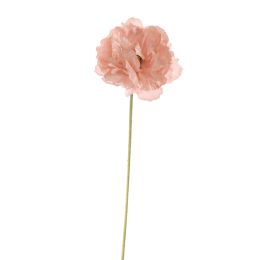 40190015-ltpi_0.jpg