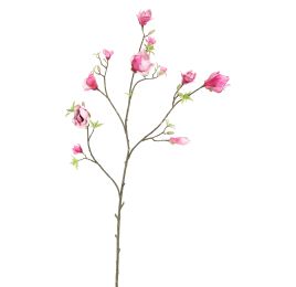 MAGNOLIA BRANCH 140CM BEAUTY