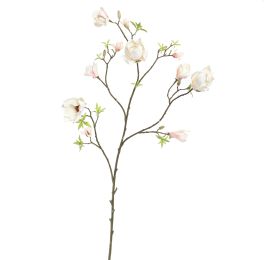 MAGNOLIA BRANCH 140CM CREAM