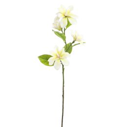 SMALL MAGNOLIA 75CM CREAM