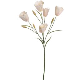 TULIP MULTI SPRAY 90CM CREAM
