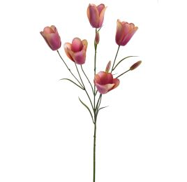 TULIP MULTI SPRAY 90CM FLAME