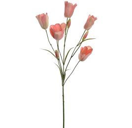 TULIP MULTI SPRAY 90CM PEACH
