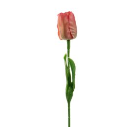 TULIP 33CM CORAL