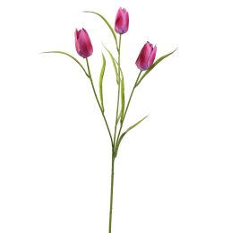TULIP SPRAY 60CM BEAUTY