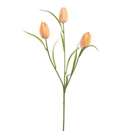 TULIP SPRAY 60CM PEACH