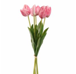 TULIP X5 BUNDLE 48CM BEAUTY