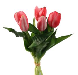 TULIP X5 BUNDLE 30CM BEAUTY