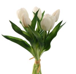 TULIP X5 BUNDLE 30CM CREAM