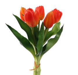 TULIP X5 BUNDLE 30CM ORANGE