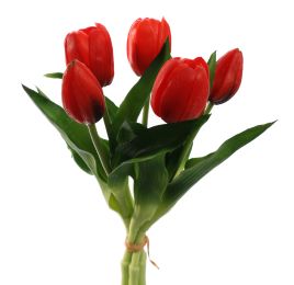 TULIP X5 BUNDLE 30CM RED