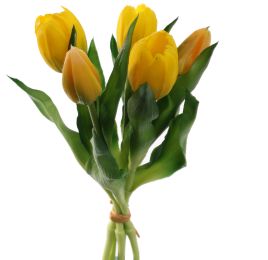 TULIP X5 BUNDLE 30CM YELLOW