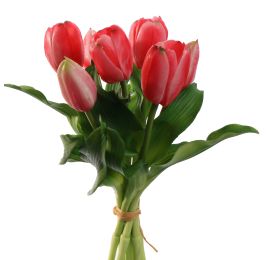 TULIP X7 BUNDLE 30CM BEAUTY