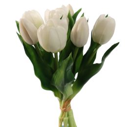 TULIP X7 BUNDLE 30CM CREAM
