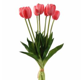 TULIP X7 BUNDLE 40CM BEAUTY