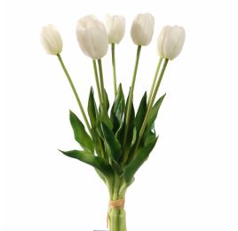 TULIP X7 BUNDLE 40CM CREAM