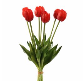 TULIP X7 BUNDLE 40CM RED