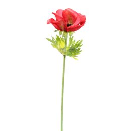 ANEMONE 60CM BEAUTY