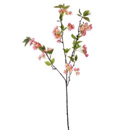 APPLE BLOSSOM 90CM BEAUTY