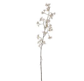 PEACH BLOSSOM 110CM CREAM