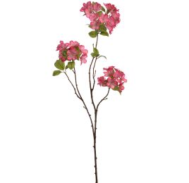 APPLE BLOSSOM 75CM BEAUTY