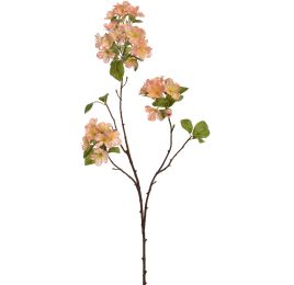 APPLE BLOSSOM 75CM PEACH