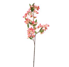 CHERRY BLOSSOM 75CM BEAUTY