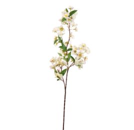 CHERRY BLOSSOM 75CM CREAM