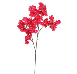 BLOSSOM 80CM BEAUTY