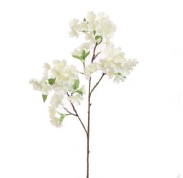BLOSSOM 80CM CREAM