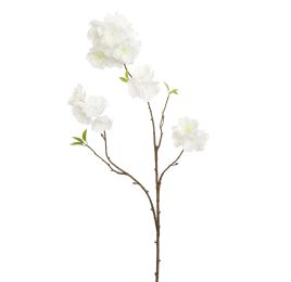 PEACH BLOSSOM 78CM CREAM