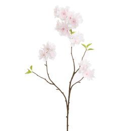 PEACH BLOSSOM 78CM CREAM PINK