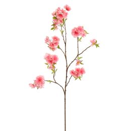 LARGE PEACH BLOSSOM 115CM BEAUTY