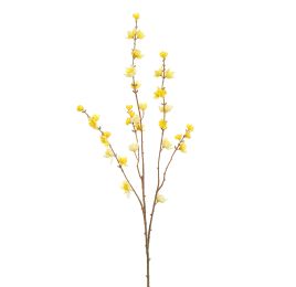 WINTERSWEET 85CM YELLOW