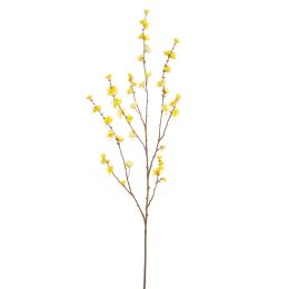 LARGE WINTERSWEET 125CM YELLOW