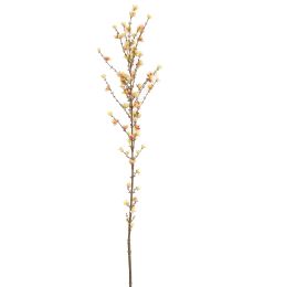 GIANT WINTERSWEET 150CM PINK YELLOW