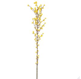 GIANT WINTERSWEET 150CM YELLOW